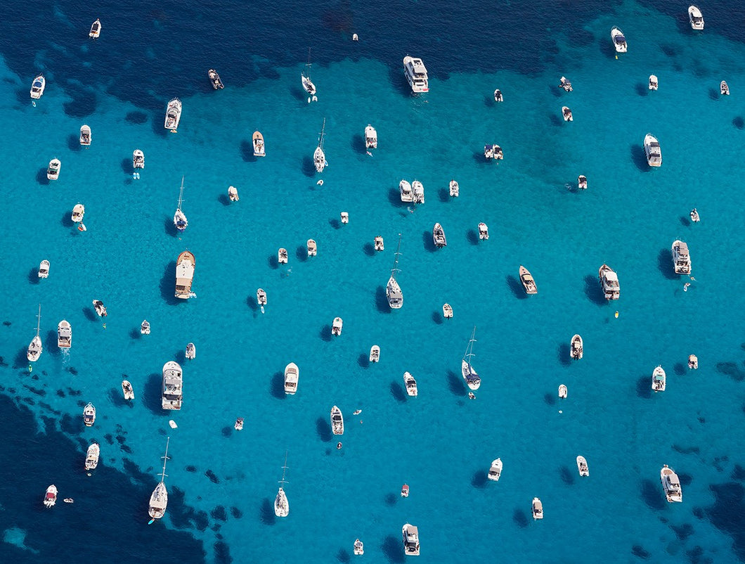 SHALLOW BLUE - CANNES 2023