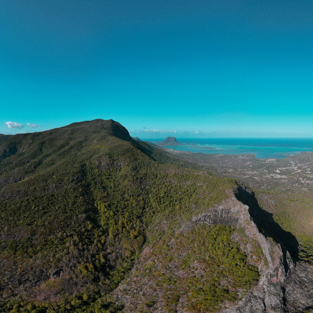 THE WALL SERIES 1 MAURITIUS | 18