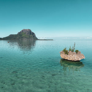 THE WALL SERIES 1 MAURITIUS | 31