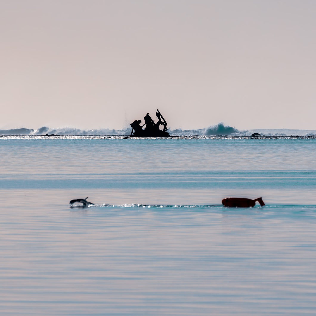 THE WALL SERIES 1 MAURITIUS | 3