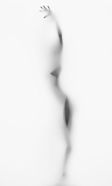 FIRST STRETCH SERIES