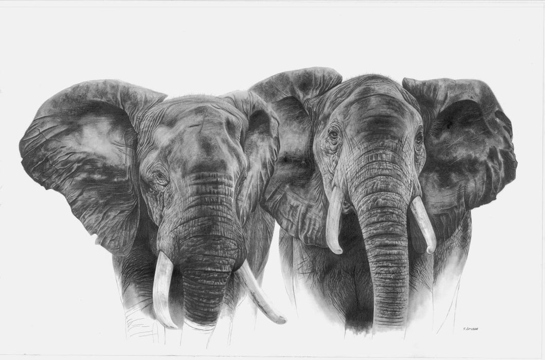 2 TETES D'ELEPHANTS