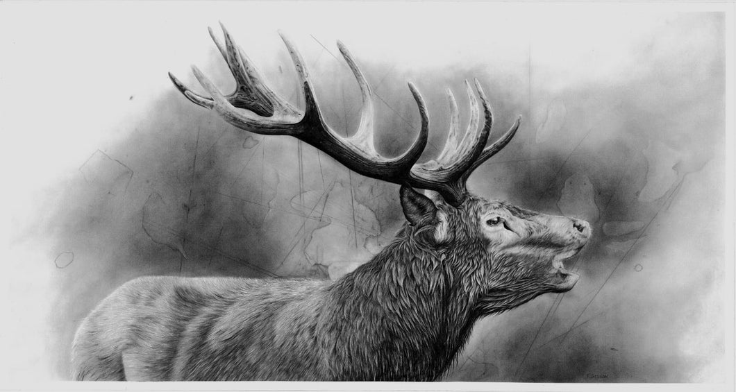 CERF