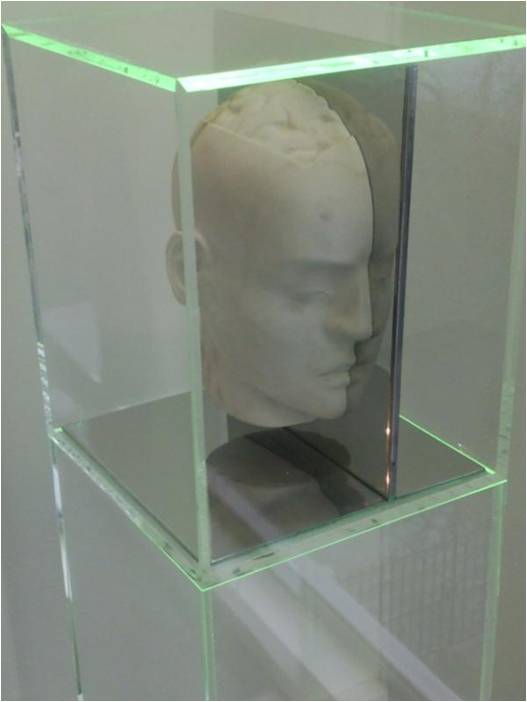 MARMO IN VITRO