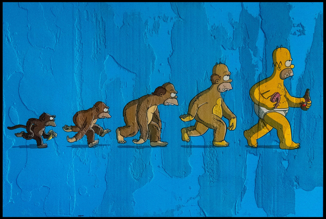 LA THEORIE DE L'EVOLUTION
