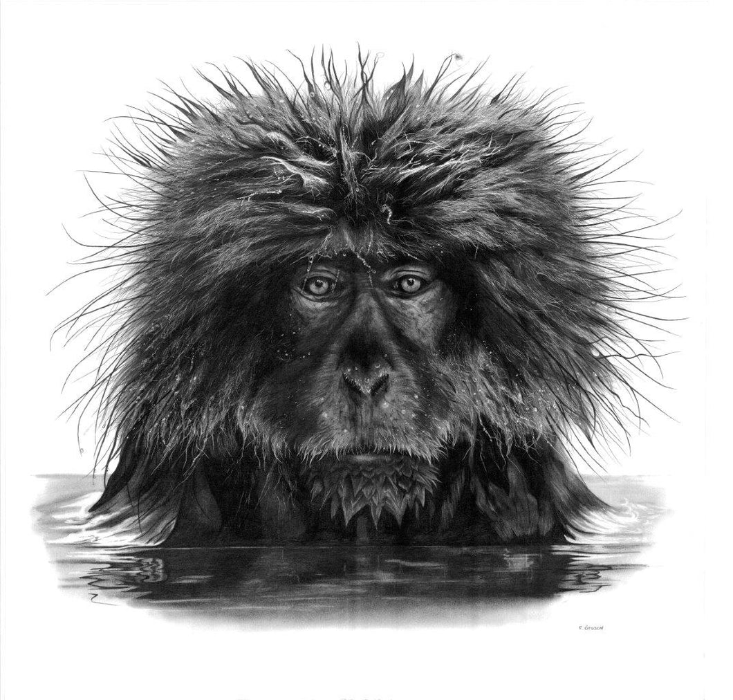 SINGE DU JAPON 1